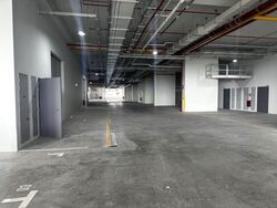 Ct Foodnex (D25), Factory #600644371